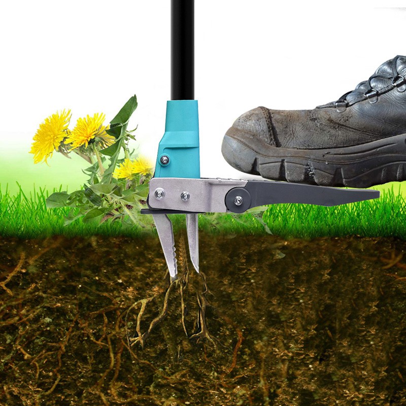 lQDPJxZu2mOdQ4TNAyDNAyCwY3CdnvMzeyoCtrAgUQAZAA_800_800