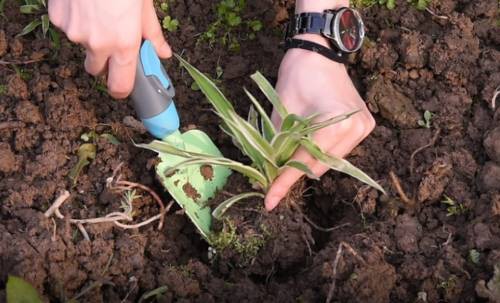 multi-interchange kid tools set(1)