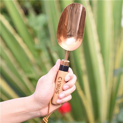 Garden trowel