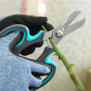 Ziedu dārza sākums