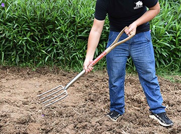 Īss krievu dārza kultūras ievads