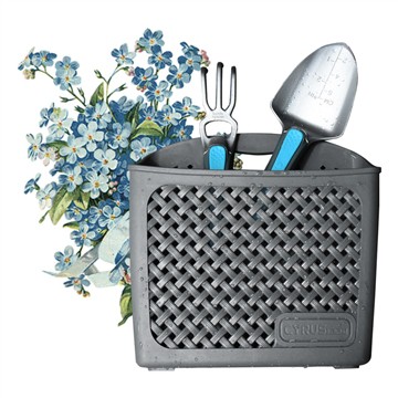 Lielisks veids, kā stādīt puķu podā