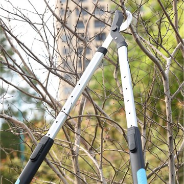 Atzarošana un apgriešana: Manas ģimenes dārza kopšana