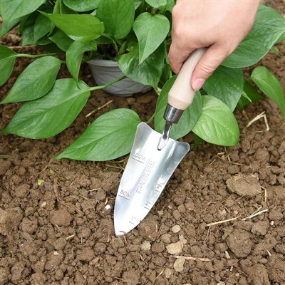 Dārza stādīšanas dienasgrāmata -1