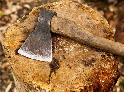 Koku griešanas instrumenti un drošības aprīkojums