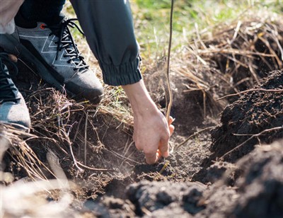 Rotaļīgi soļi, lai izraktu saknes