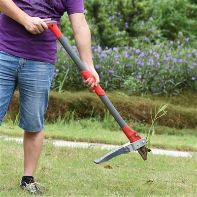 Piecelties nezāļu par piepūles ravēšanu