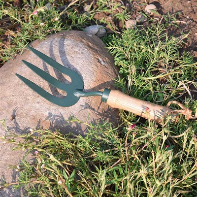 Dārza rīku ikdienas piedzīvojumi