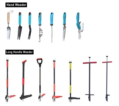 Zaļās dabas kultivēšana: ilgtspējības nodrošināšana savā dārzā