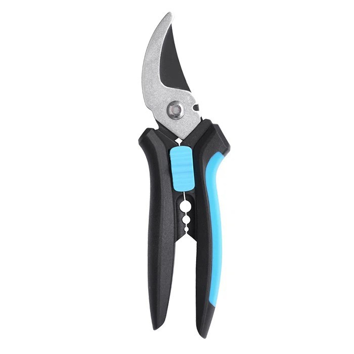 Profesionāli rožu atzarotāji