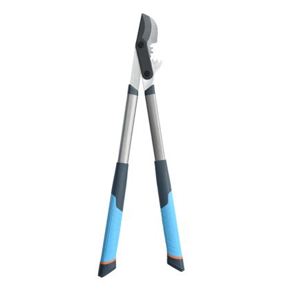 Šķirnes zaru griešanai